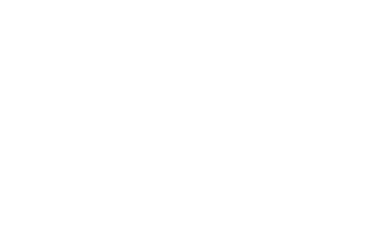 Santos Haute Couture